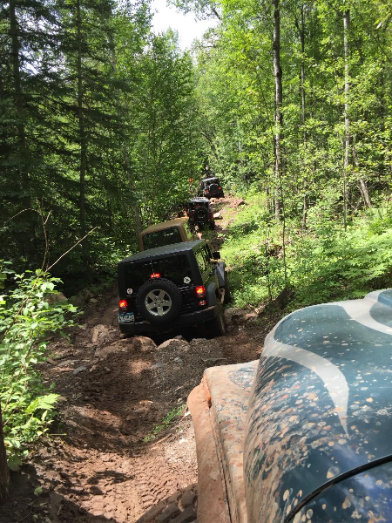 Row of Jeep Vehicles in Forest | Sanderson Auto Repair